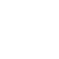 Fuel